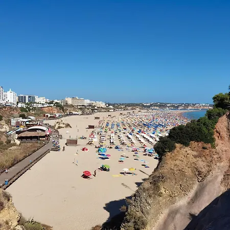 Rocha Tropical Διαμέρισμα