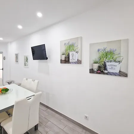 Rocha Tropical Appartement *